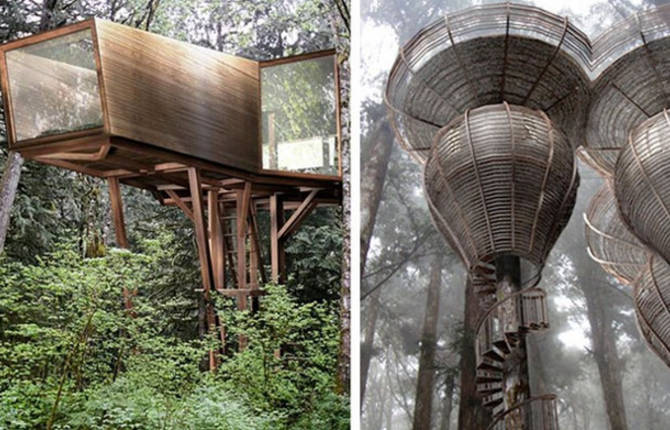 Embryo Treehouse