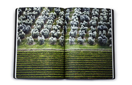 The Harvest Diaries