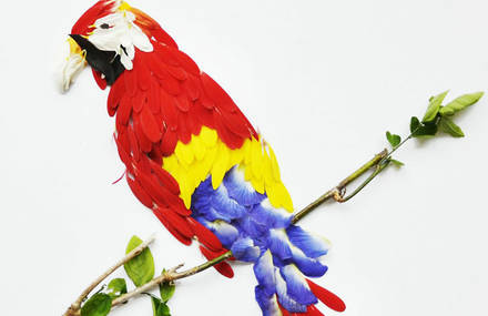 Impressive Illustrations of Birds Composed of Flower Petals by Red Hong Yi