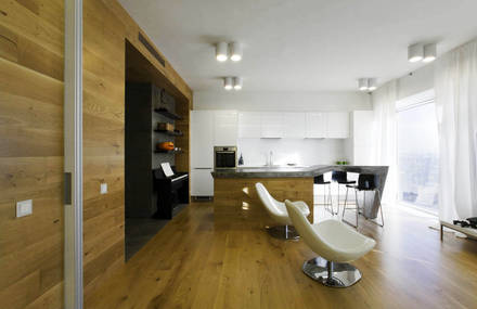 Dubrovka Apartment by za bor architects