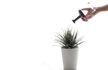 LaFresca Watering Can by Martiniblanco Studio