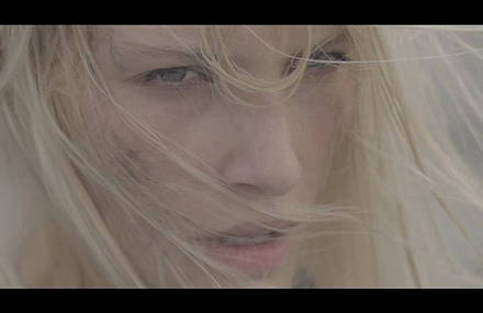 Oblast – Foxy