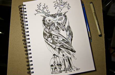 The Wonder Kingdom presents: The Owl of Life and Death