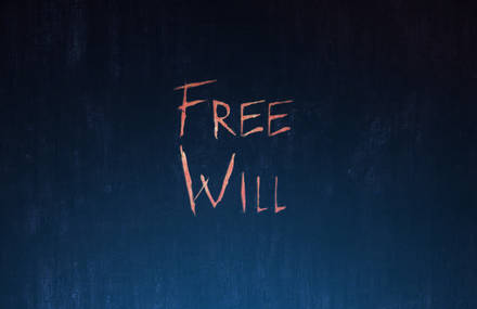 Free Will