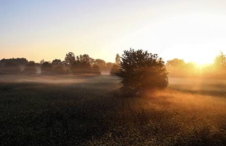 Misty dawn
