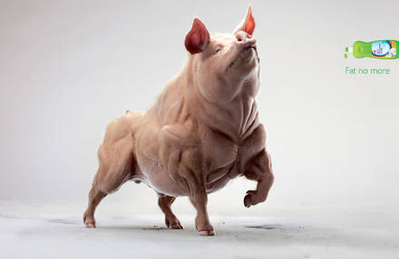 Fat no more
