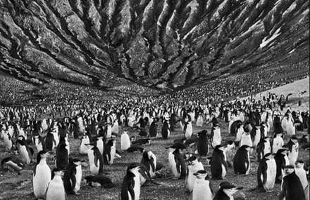 Sebastiao Salgado Photography