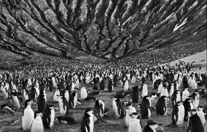 Sebastiao Salgado Photography
