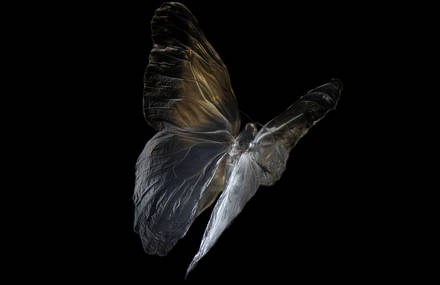 Swarm Series