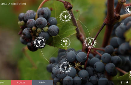 Le vin à la robe fendue