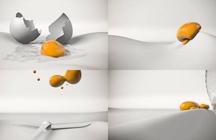Yolk