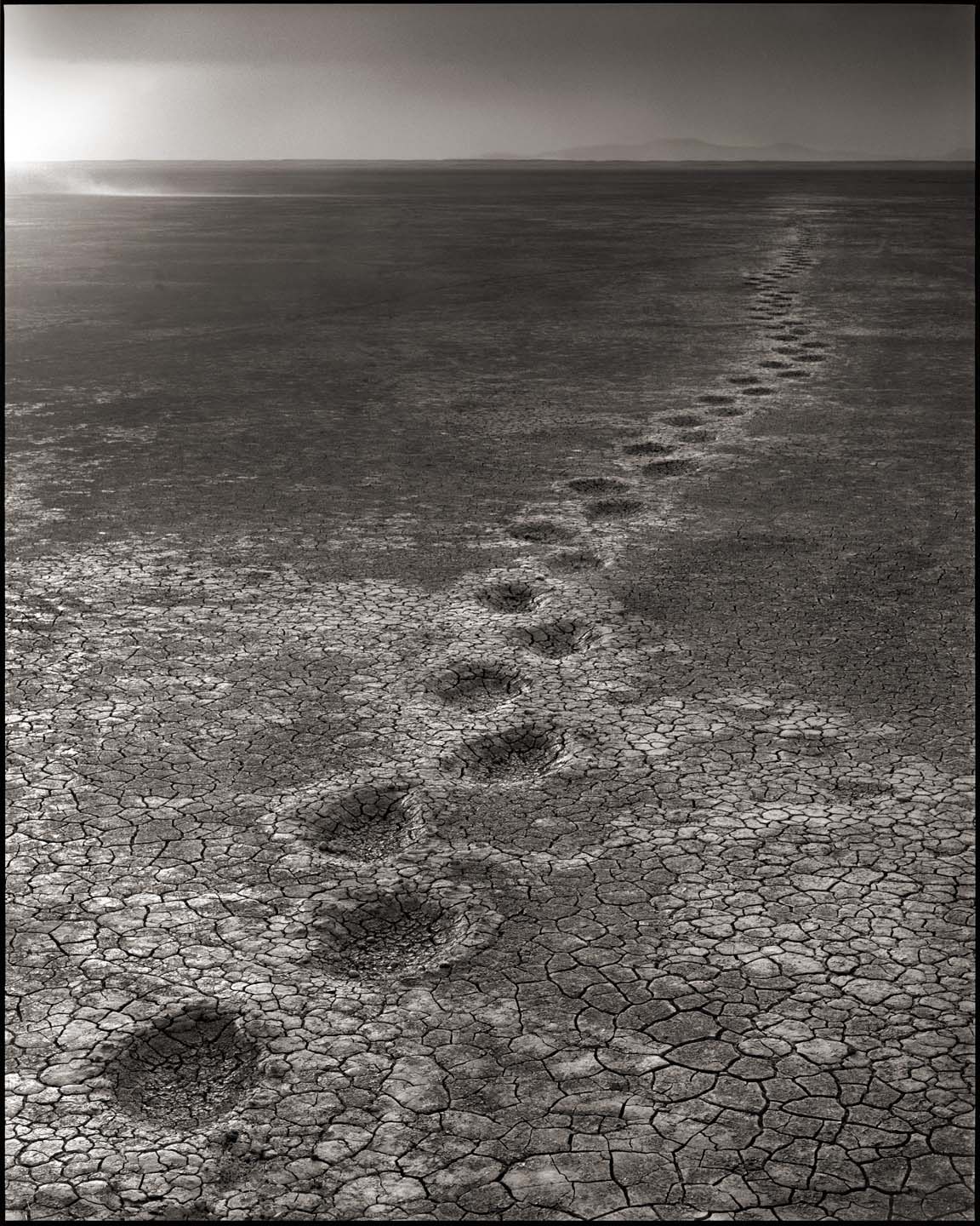Elephant Footprints on Lake Bed