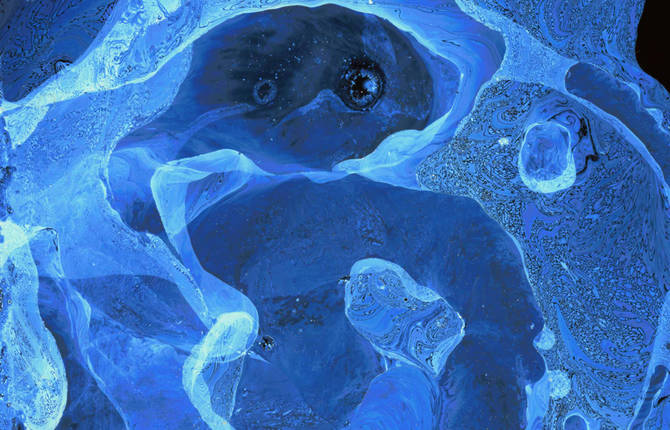 Face of Water