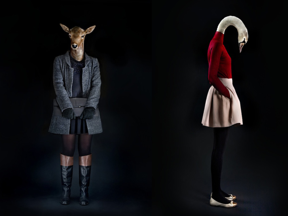 Fashion Dress Animals3