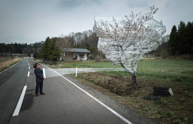 Fukushima Devastation