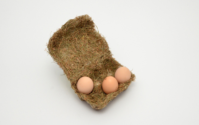 Happy Eggs Packaging2