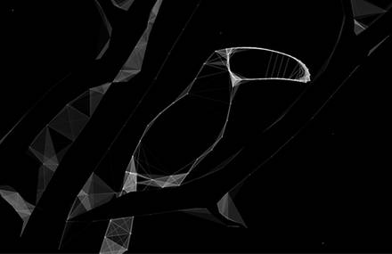 Nature Process