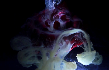 Nebulous