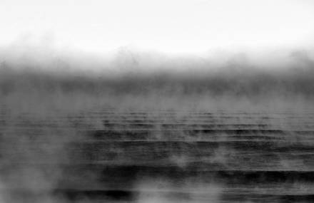 Foggy Morning