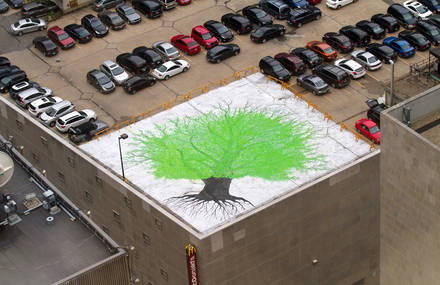 Installation éphémère de l’artiste Belo : L’ARBRE CITOYEN