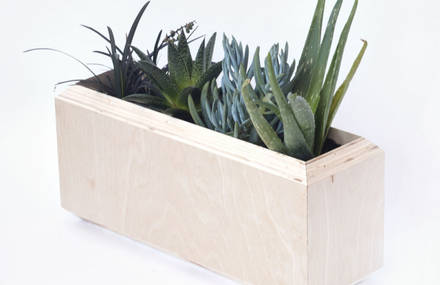 Window Planter Box by Yield Design Co