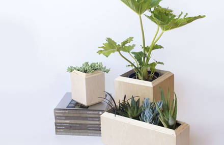 Window Planter Box by Yield Design Co