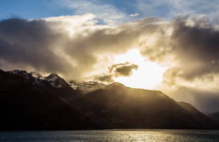 Oneness New Zealand