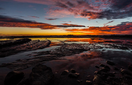 Oneness New Zealand