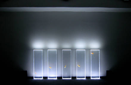 Quintetto