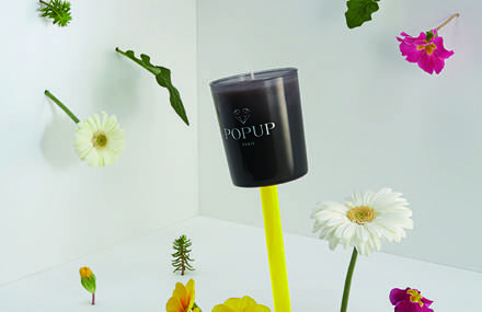 Popup Paris – Into the wild