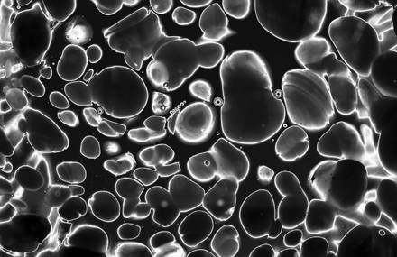 Macro Mystère