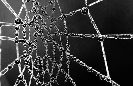 Macro Mystère