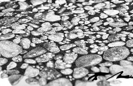 Philippe Meier, artiste pointilliste de talent !
