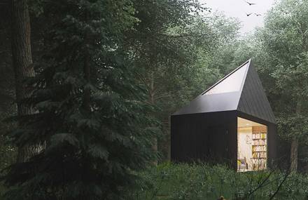 Cabin in the forest