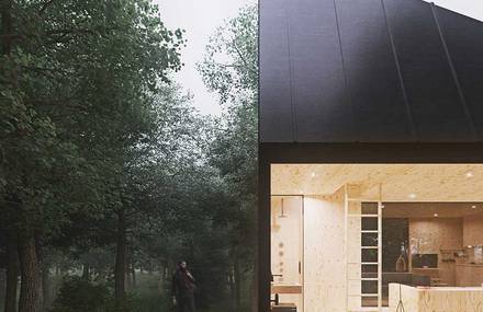 Cabin in the forest