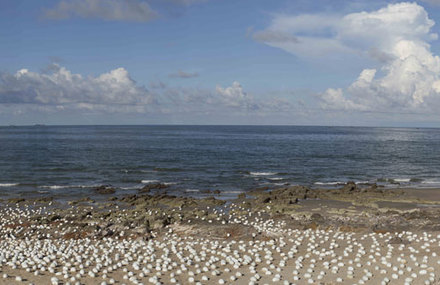 3000 Ceramic Eggs Installation