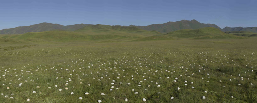 3000 Ceramic Eggs Installation2