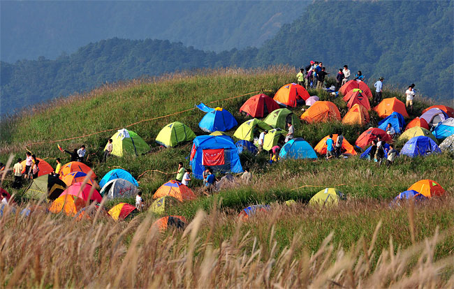 Camping Festival in China8