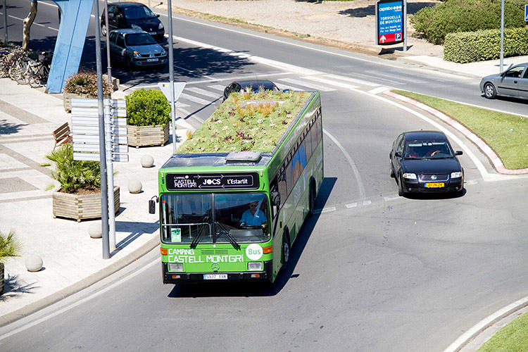 Green Bus4