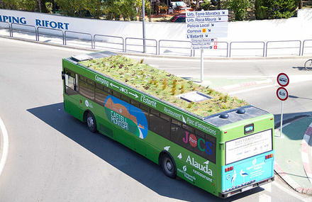 Green Bus