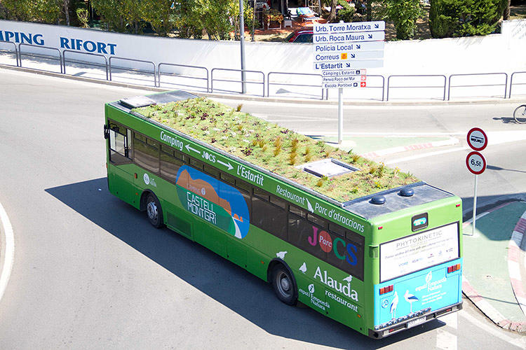 Green Bus6