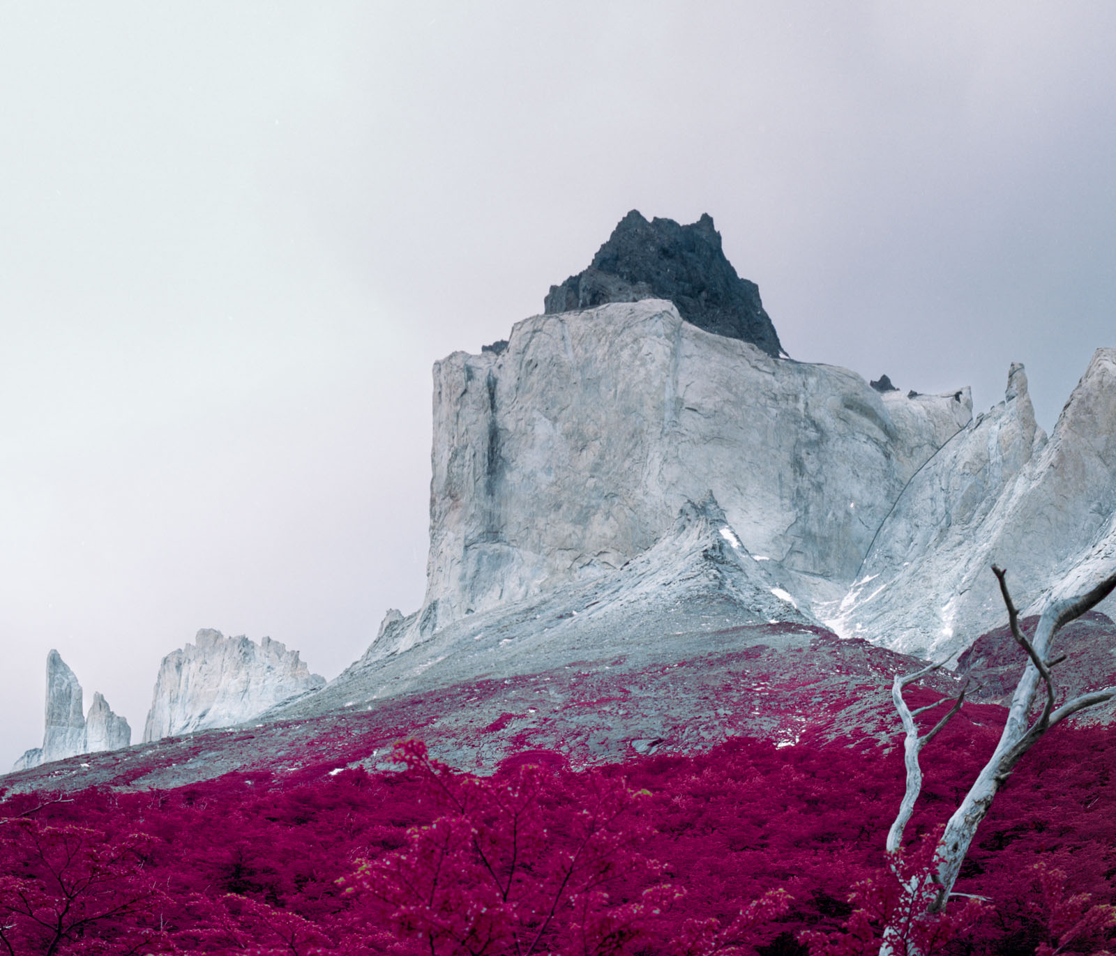 Reuben Wu Photography10