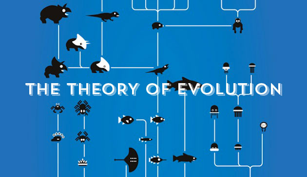 The Theory of Evolution5