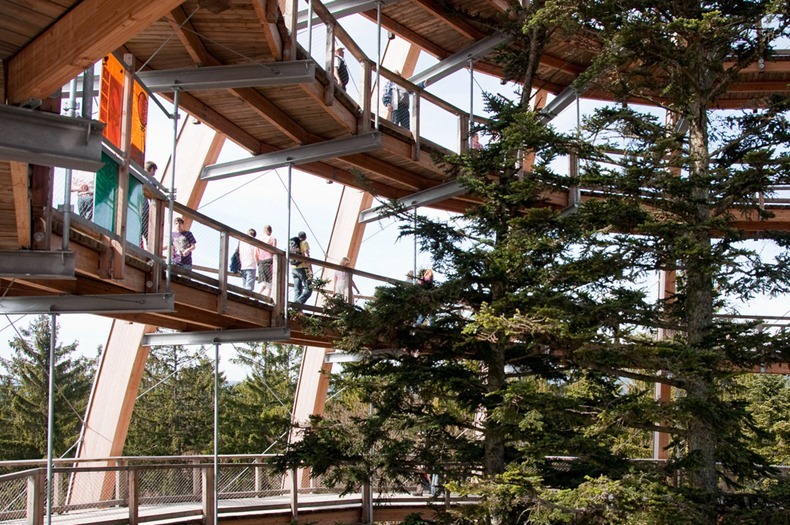 The World's Longest Tree Top Walk4