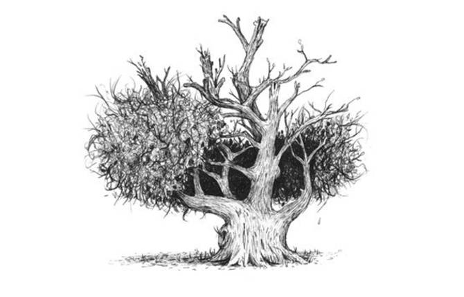 Tree with Haircuts