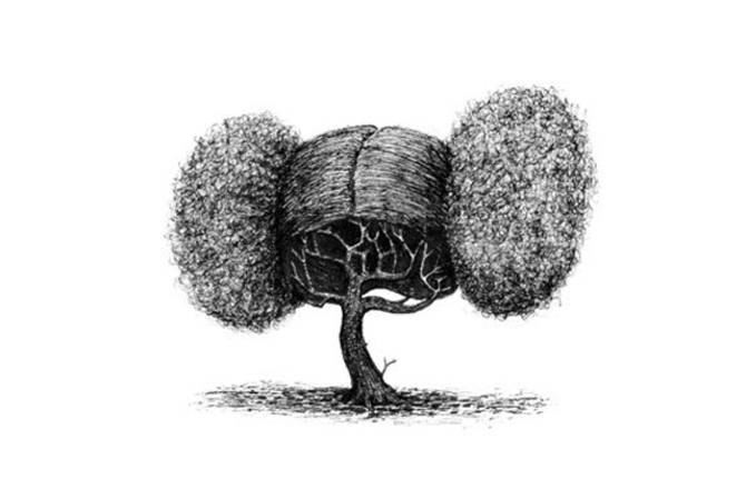 Tree with Haircuts
