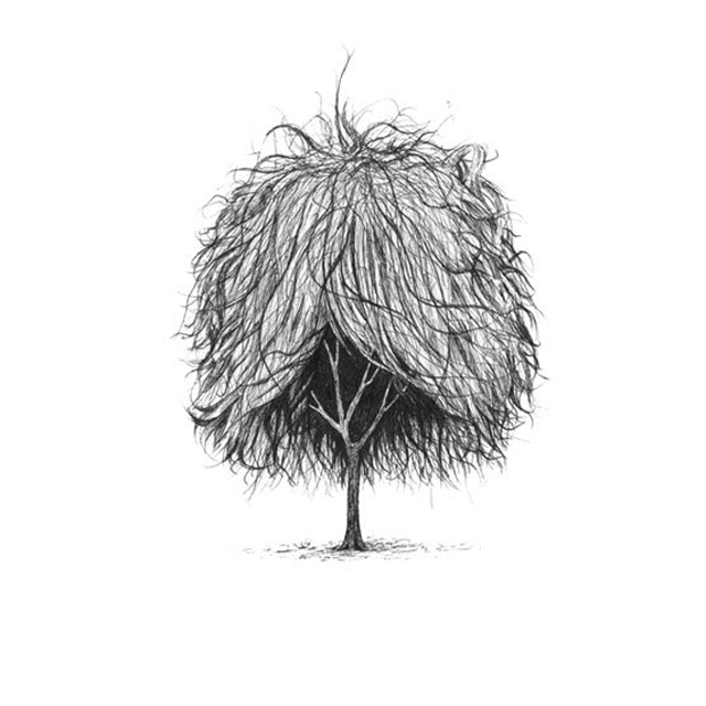 Tree with Haircuts-4