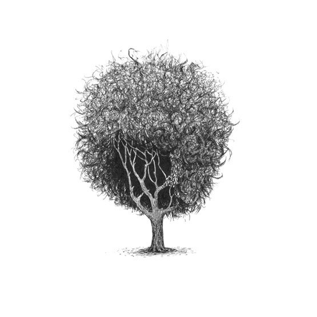 Tree with Haircuts-7