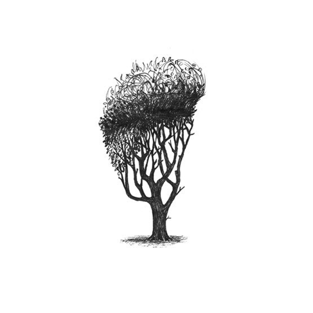Tree with Haircuts-9