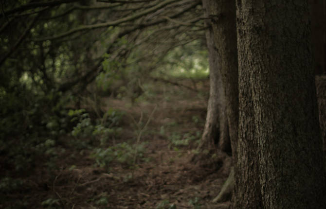 Stopping by Woods